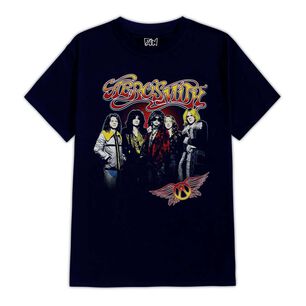 Polera Estampada Aerosmith Integrantes