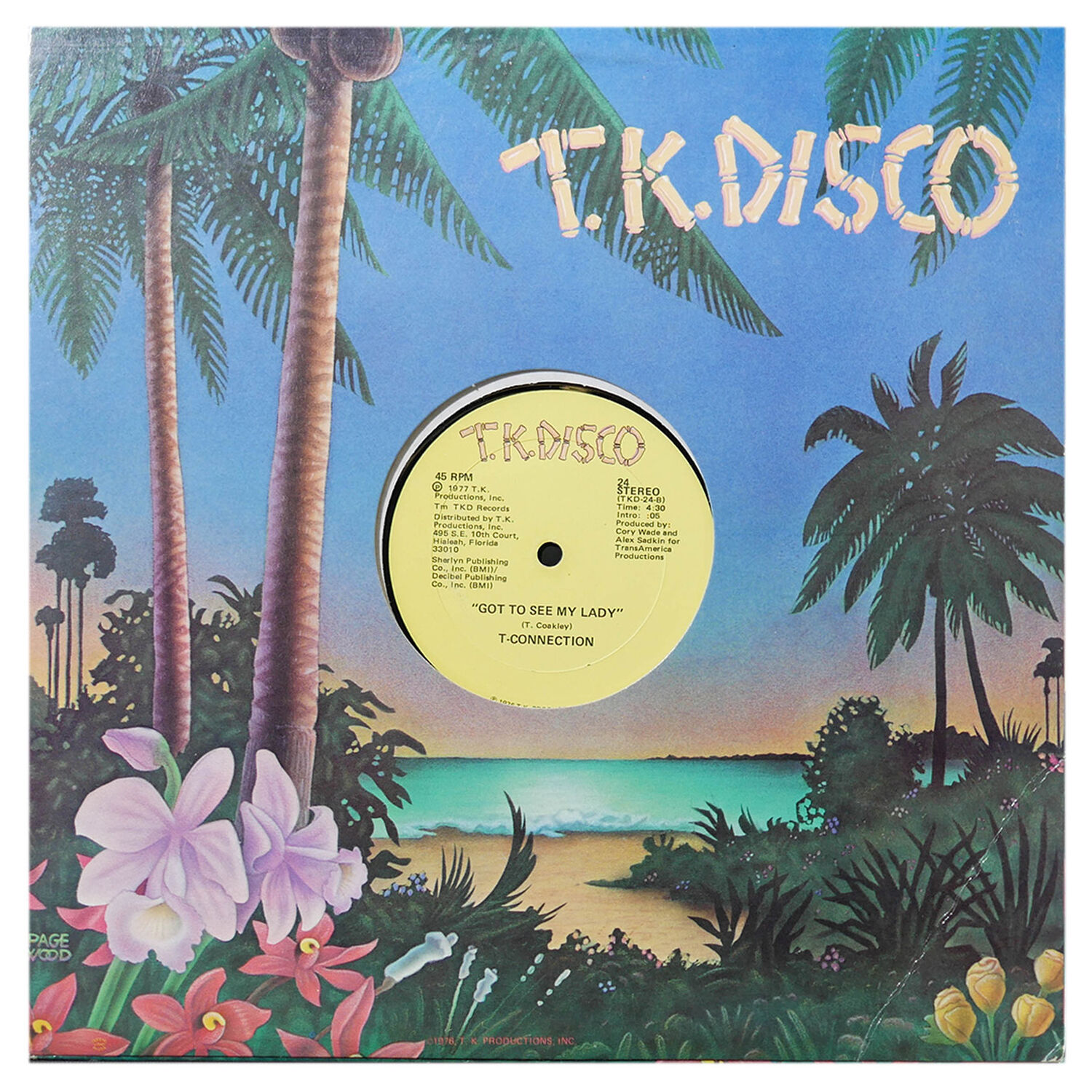 T-connection - Do What You Wanna Do (disco Version) | 12" Maxi Single Usado image number 1.0