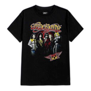 Polera Estampada Aerosmith Integrantes