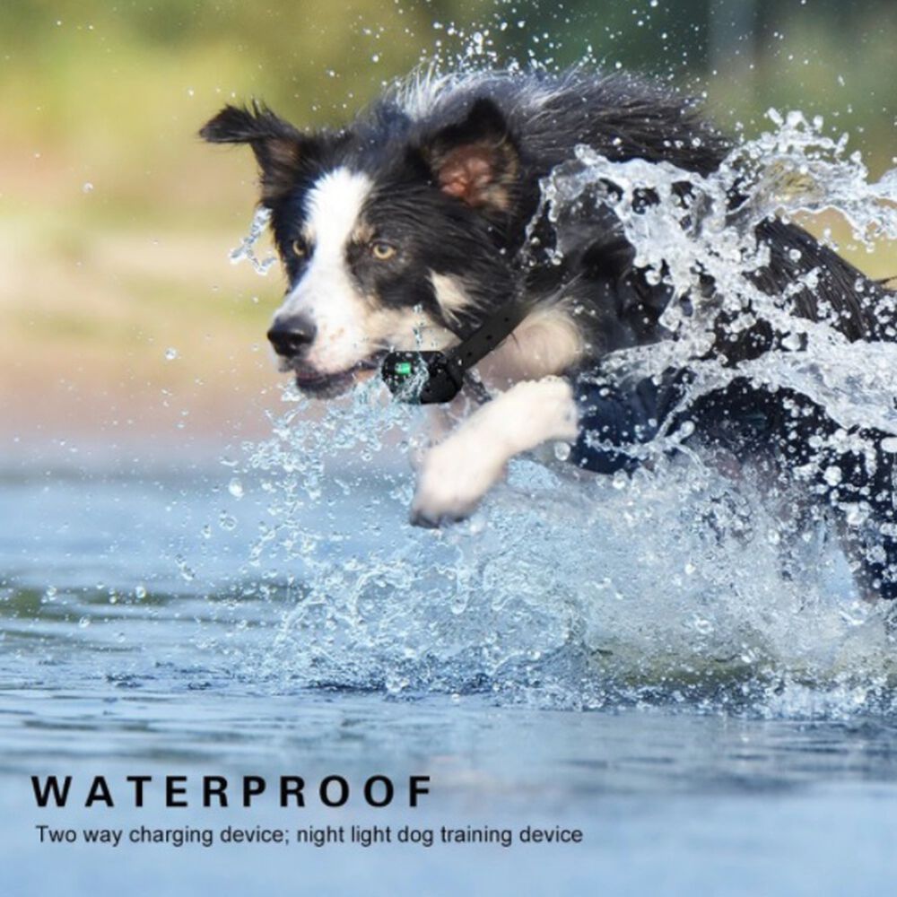 Collar Electrico De Adiestramiento Perros Original Recargable Usb Entrenamiento Canino image number 8.0