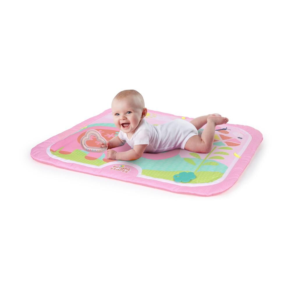 Gimnasio Bright Starts  Fanciful Flowers image number 4.0