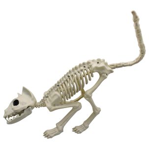 Esqueleto Gato 48x18 Cm Halloween Big Party