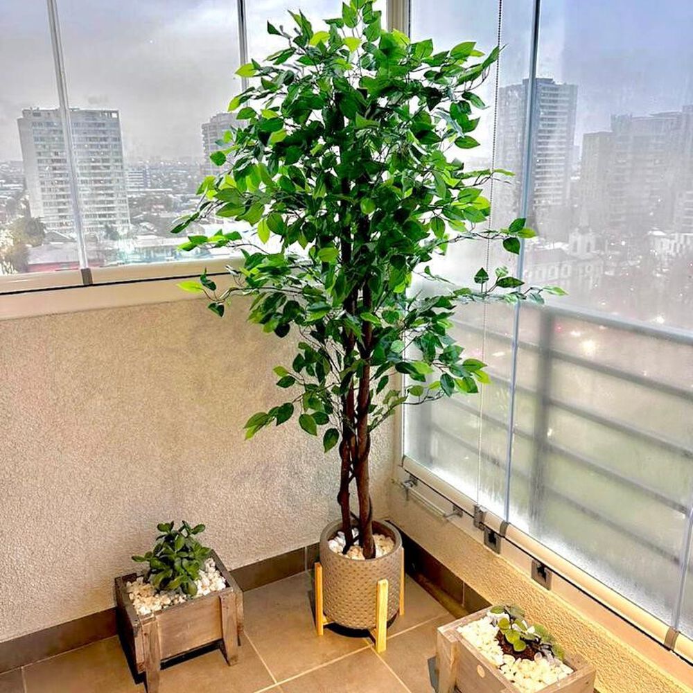 2 X 1 Plantas Artificiales Premium Ficus 160 Cm image number 1.0