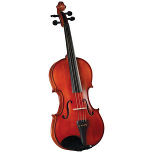 Viola Outfit 15'' Hva-100 Cervini