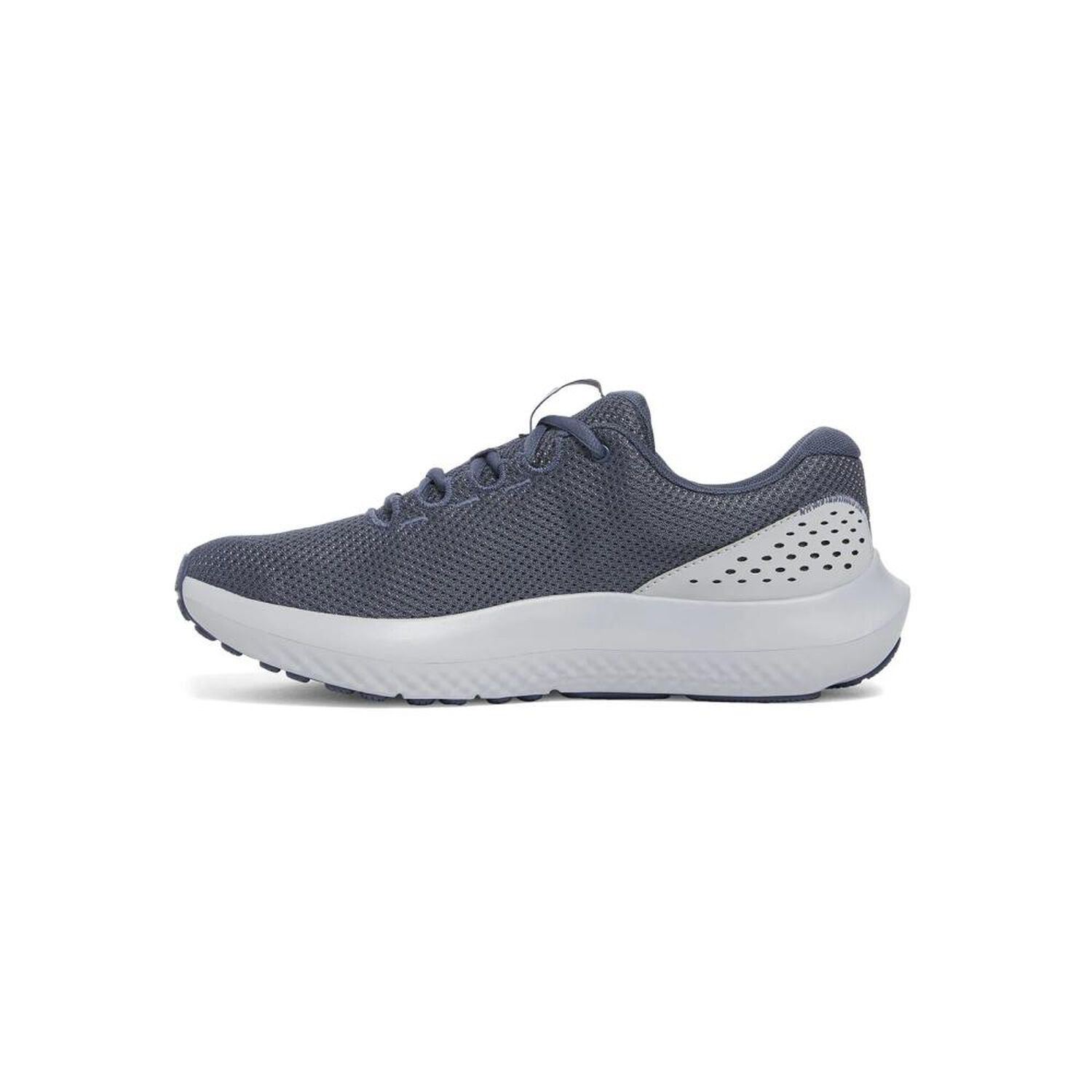Zapatilla Running Hombre Under Armour Surge 4 Gris image number 1.0