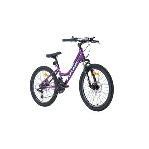 Bicicleta Totem Mtb Aro 24 Modelo Sitara Morado