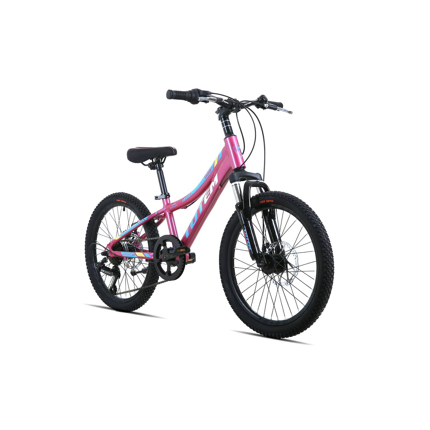 Bicicleta Totem Mtb Aro 20 Modelo 1100 Rosado image number 1.0