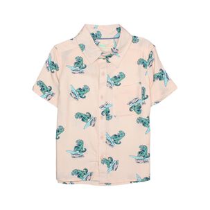 Camisa Niño Topsis