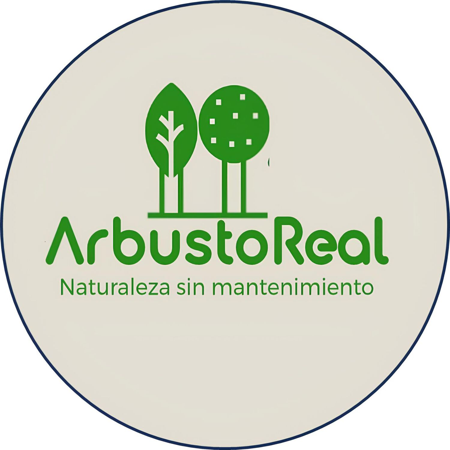 Planta Artificial Dracaena Premium 165 Cm./ 90 Hojas image number 6.0