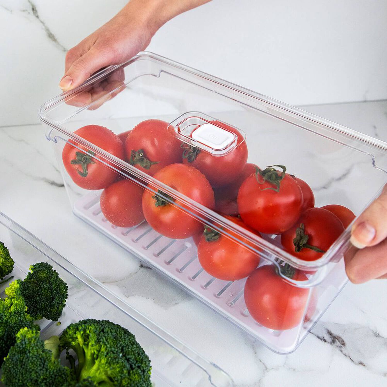 Organizador De Refrigerador Clear Fresh 5 Lt 30 X 15 X13 Cm image number 2.0