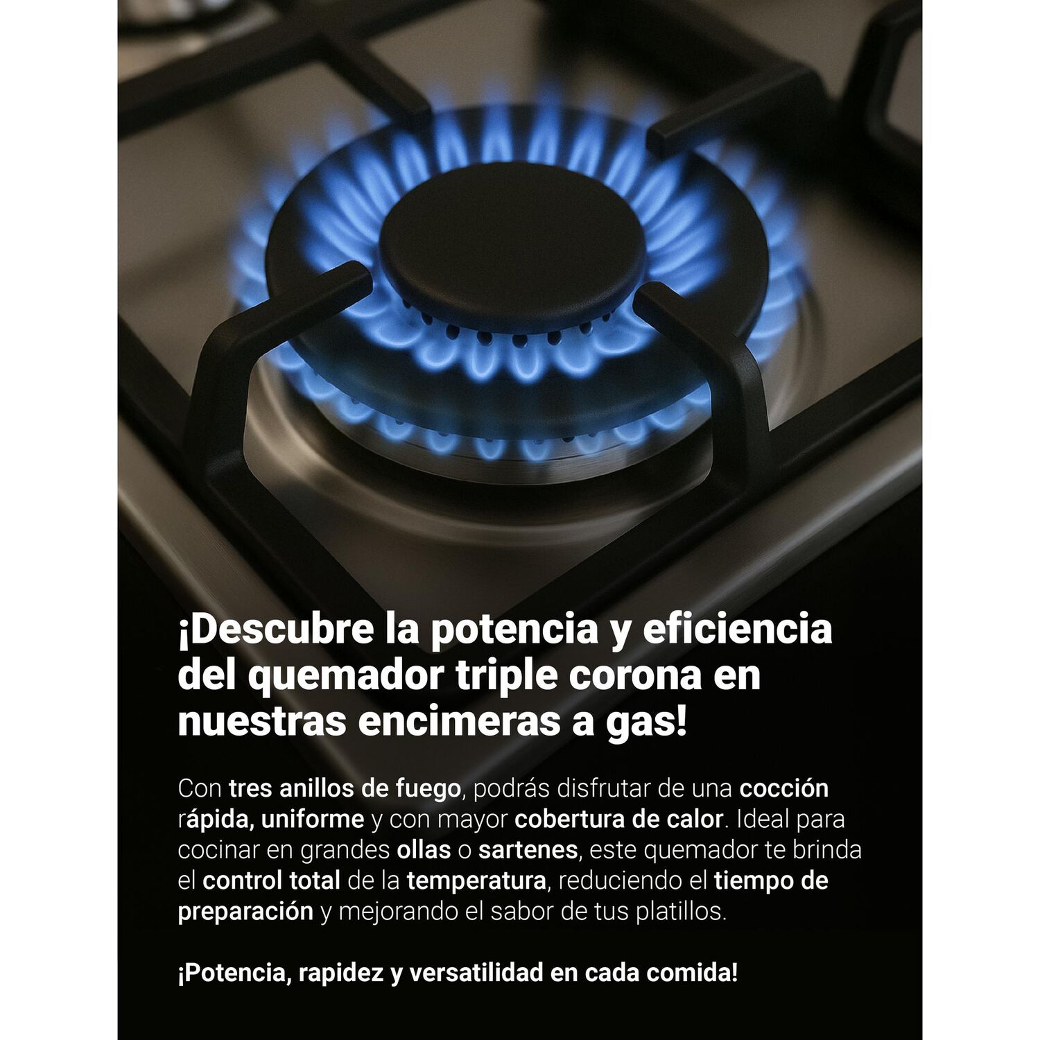 Encimera Gas Licuado Albin Trotter Professional 75 5 Platos image number 5.0
