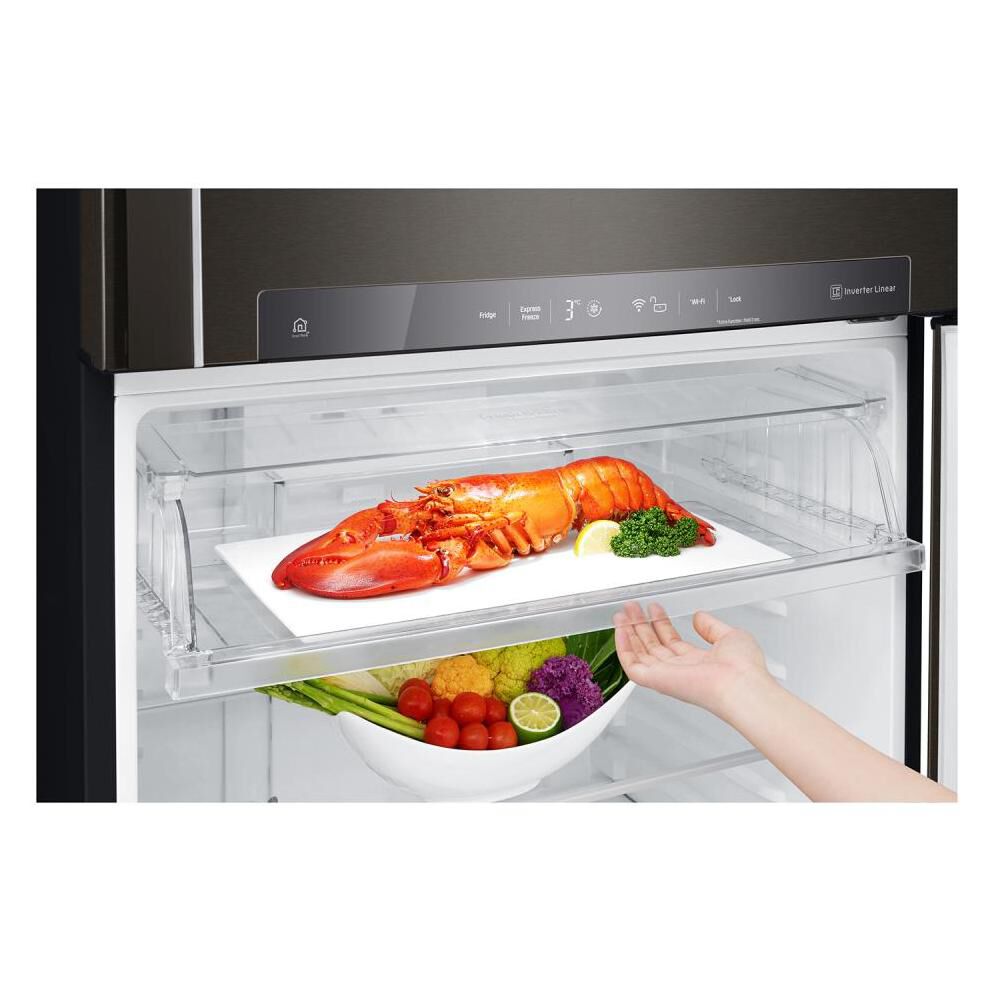 Refrigerador Top Freezer LG LT51SGD / No Frost / 509 Litros / A+ image number 8.0