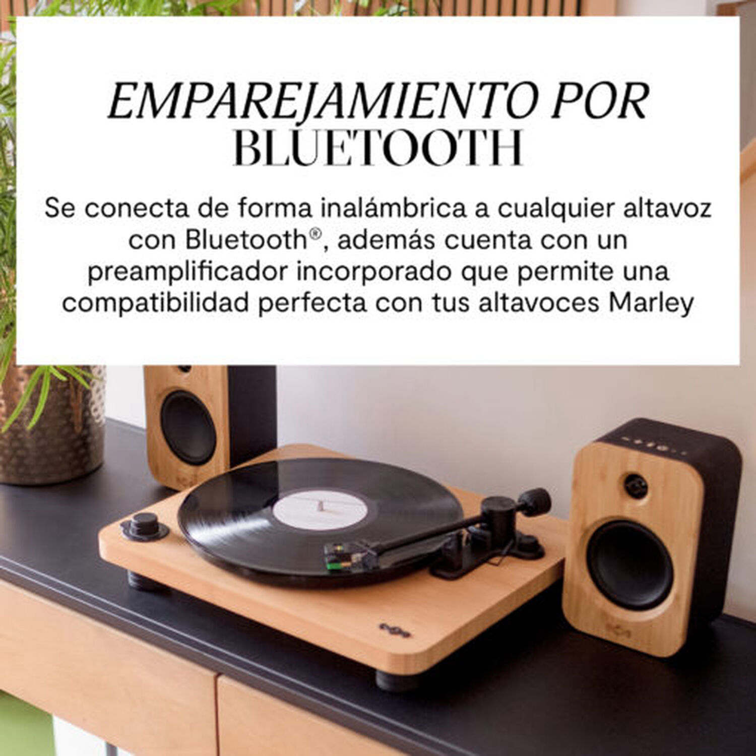 Tornamesa Bluetooth Stir It Up Wireless Lux House Of Marley image number 7.0