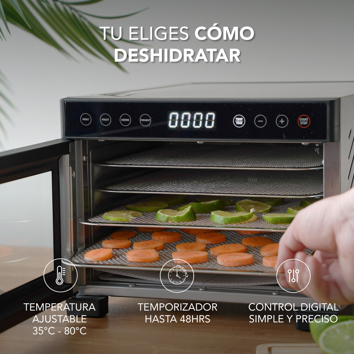 Deshidratador De Alimentos Mouvair Dry image number 5.0