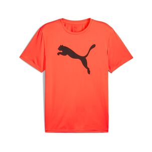 Polera Deportiva Hombre Puma M Tad Essentials Solid Cat Tee (cf Big Cat)
