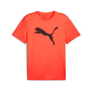Polera Deportiva Hombre Puma M Tad Essentials Solid Cat Tee (cf Big Cat)