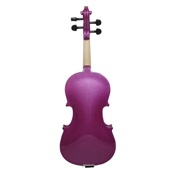 Viol&iacute;n Livorno Color Purpura 4/4 Liv-20pu