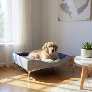 Cama De Mascotas - Talla L Extra (90x70 Cm) / Pata Cromada 15 Cm