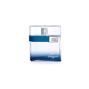 Salvatore Ferragamo F By Ferragamo Free Time Men Edt 100ml