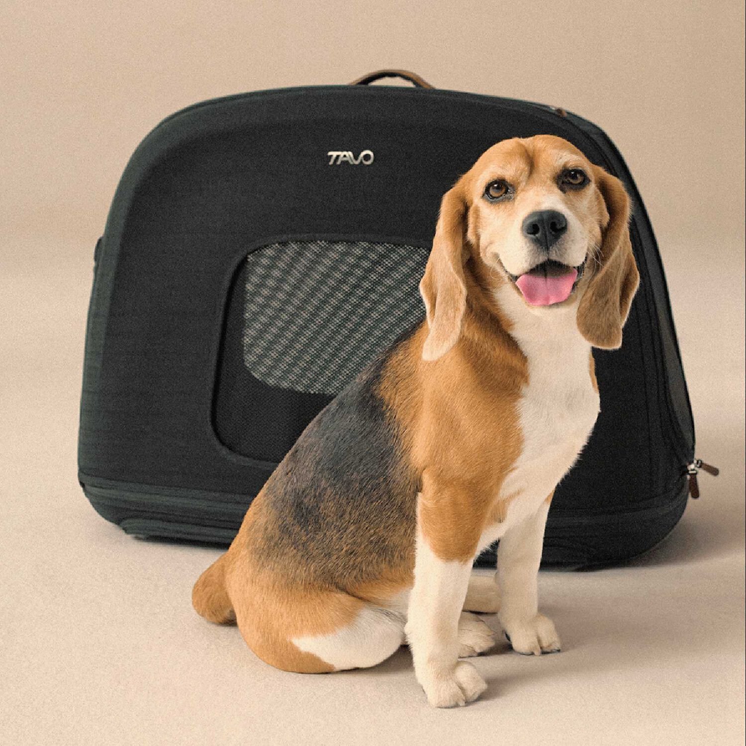 Transporte Mascota Crispin S Onyx image number 7.0