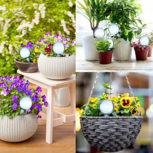 Alimentador De Agua Autom&aacute;tico Para Plantas 10 Pzas