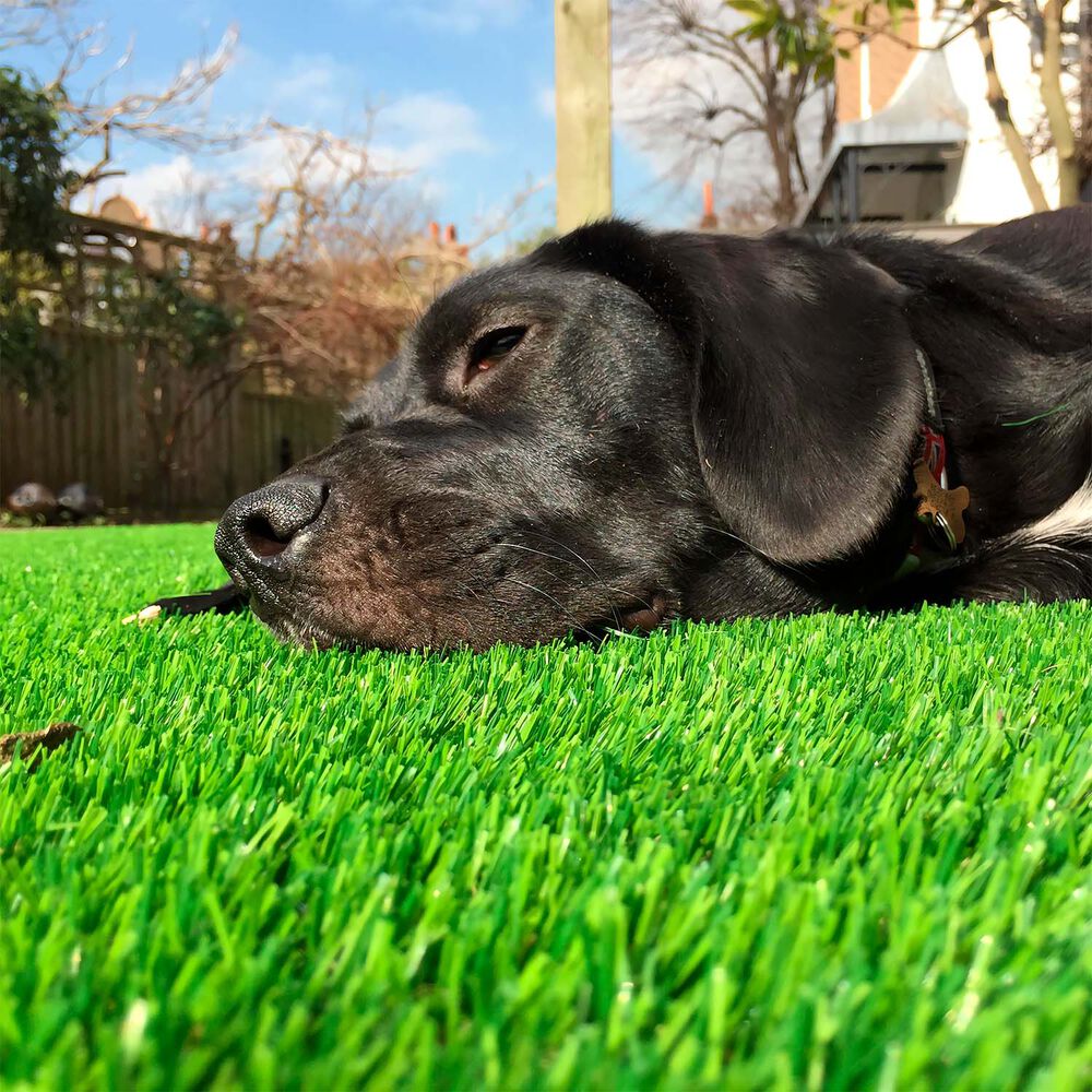 Pasto Sint&eacute;tico Premier Turf 25 Mm 2x5 Metros image number 4.0