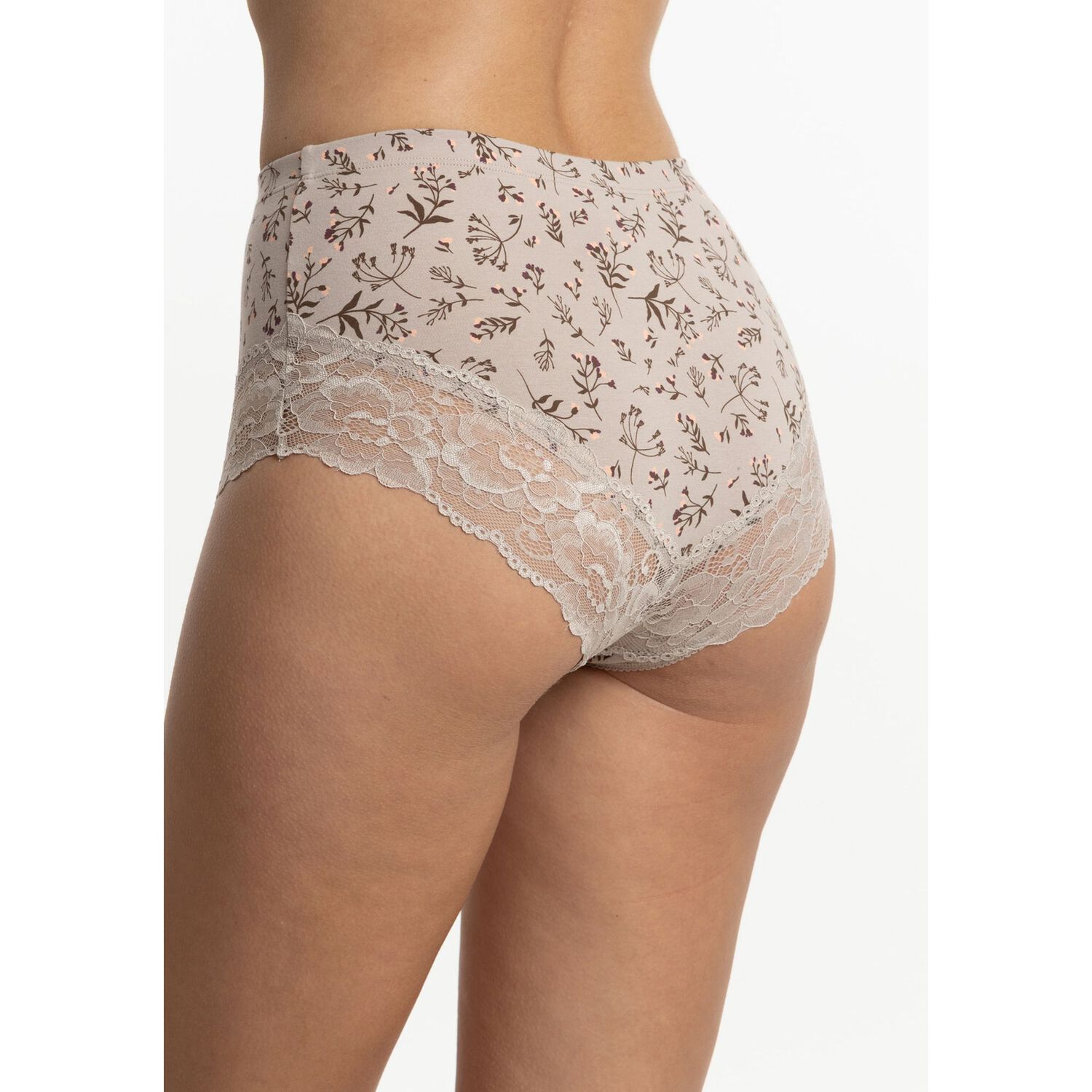 Pack 3 Pantaletas Tiro Alto Algod&oacute;n Mujer Kayser P3145053-caf3 image number 1.0