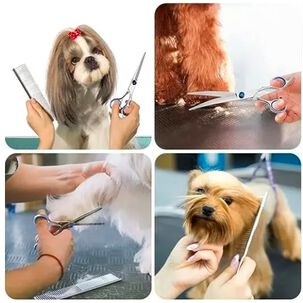 Set De Tijeras Peluquería Canina Perros Corta Pelo 4 Tijeras
