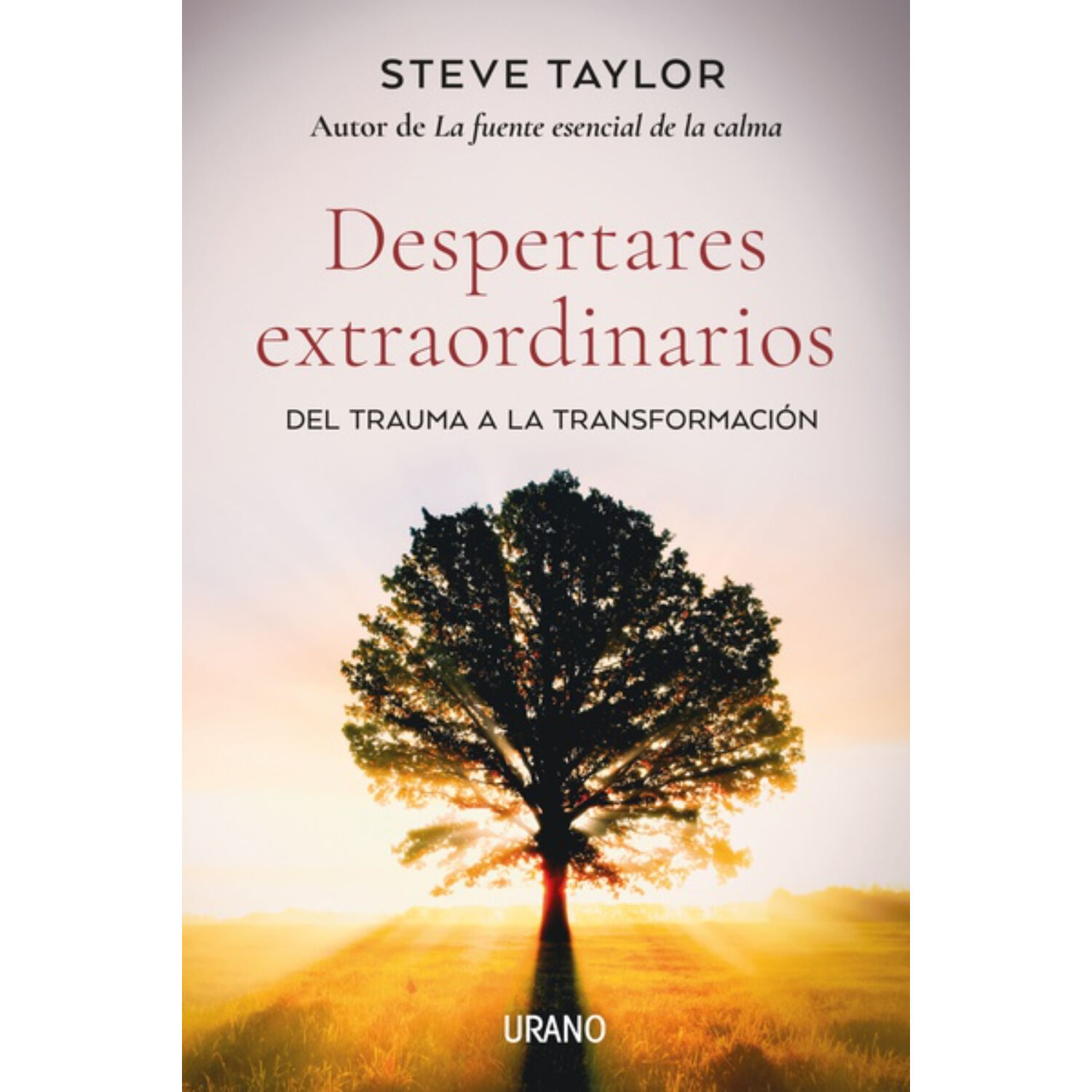 Despertares Extraordinarios image number 0.0