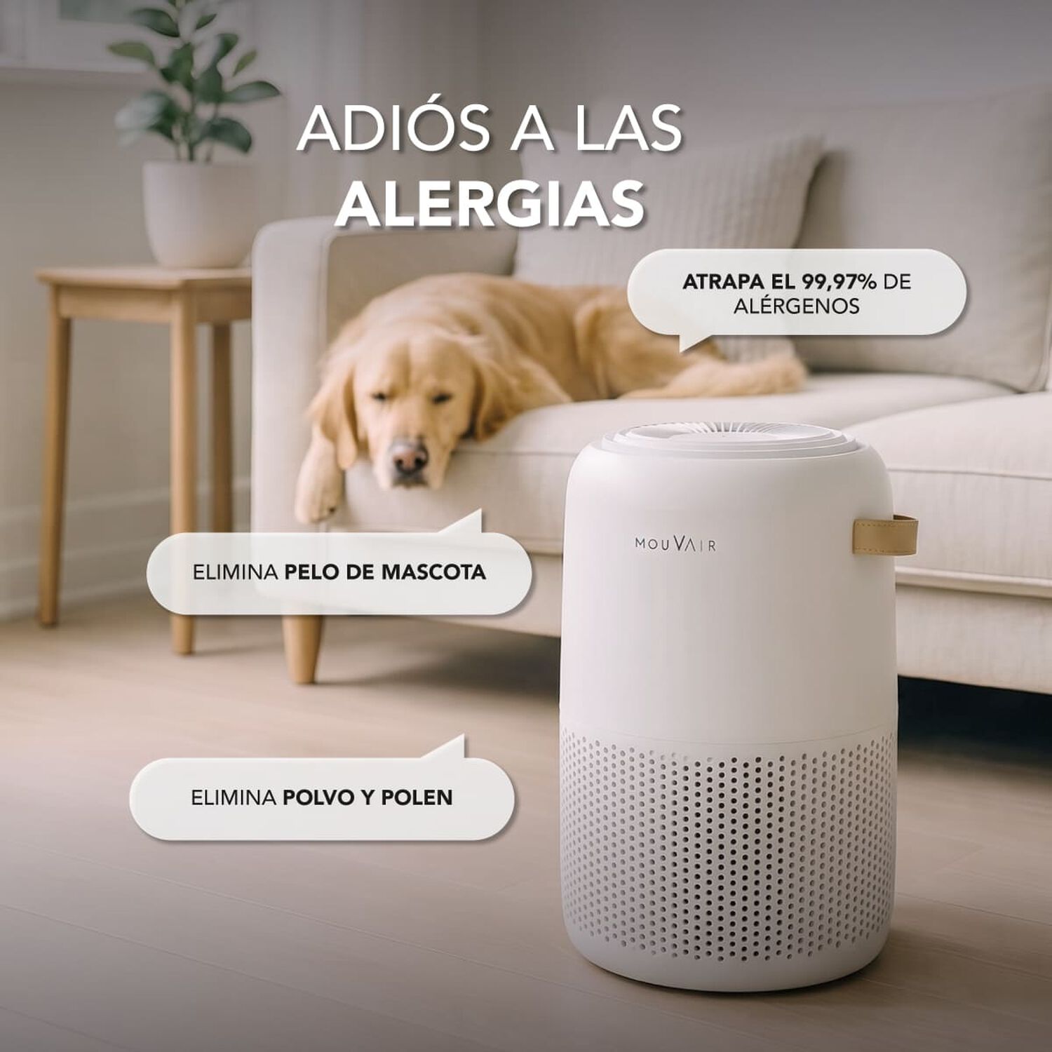 Purificador De Aire Mouvair Vital image number 3.0