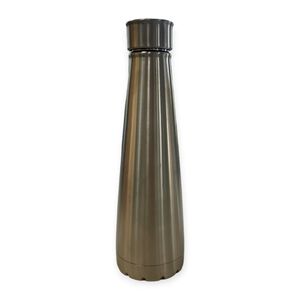 Botella Térmica De Acero Inoxidable Plateado
