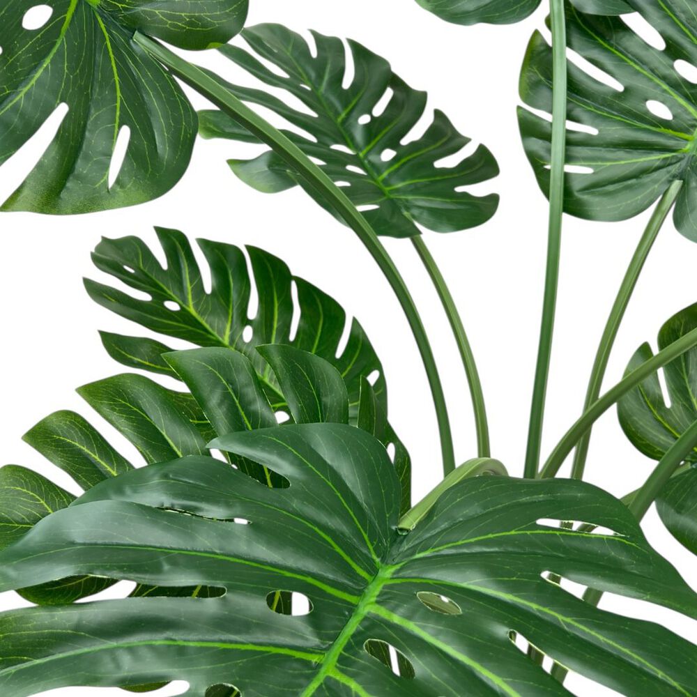 Monstera Premium 120 Cm. / 10 Hojas Arbusto Real image number 5.0