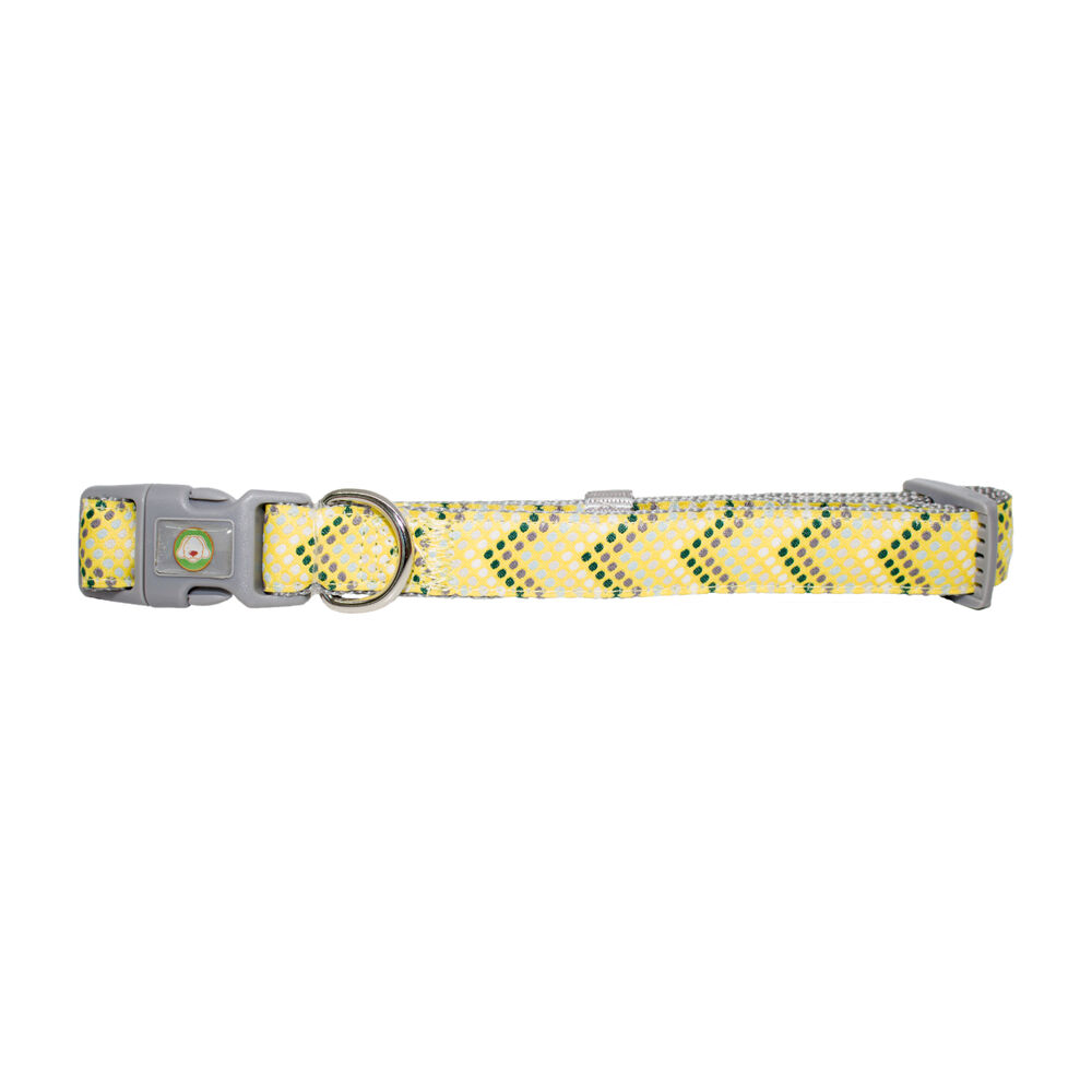 Collar Perro Puntitos S Amarillo Mascan image number 0.0