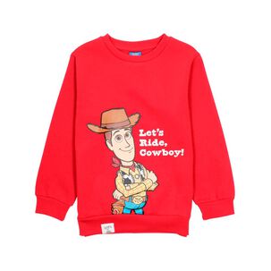 Poler&oacute;n Ni&ntilde;o Toy Story