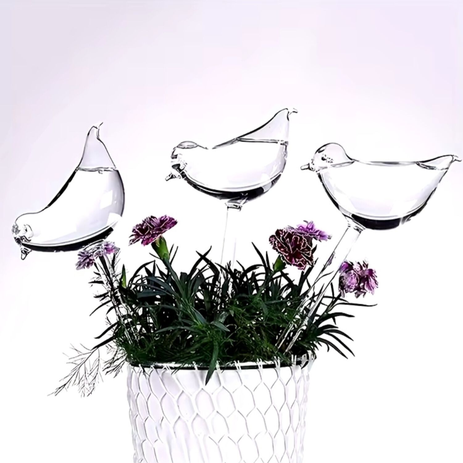 Pack De 3 Alimentador De Agua Para Plantas Forma image number 0.0