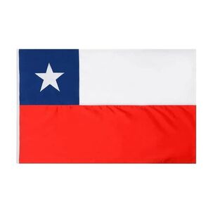Bandera De Chile Escudo 80 Cm X 120 Cm Fiestas Patrias