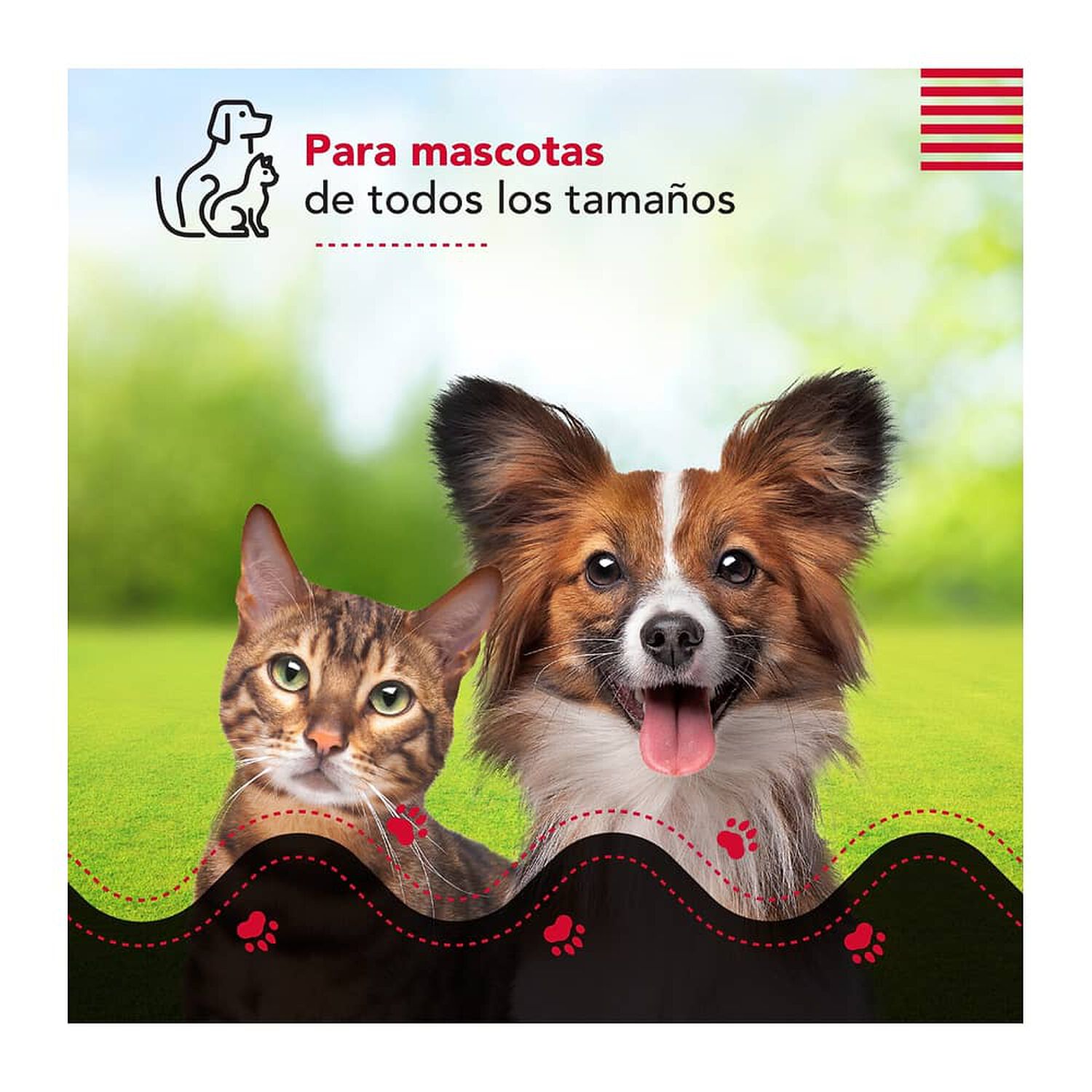 Cepillo & Aspiradora Thor Cordless Usb Pet Vac image number 9.0
