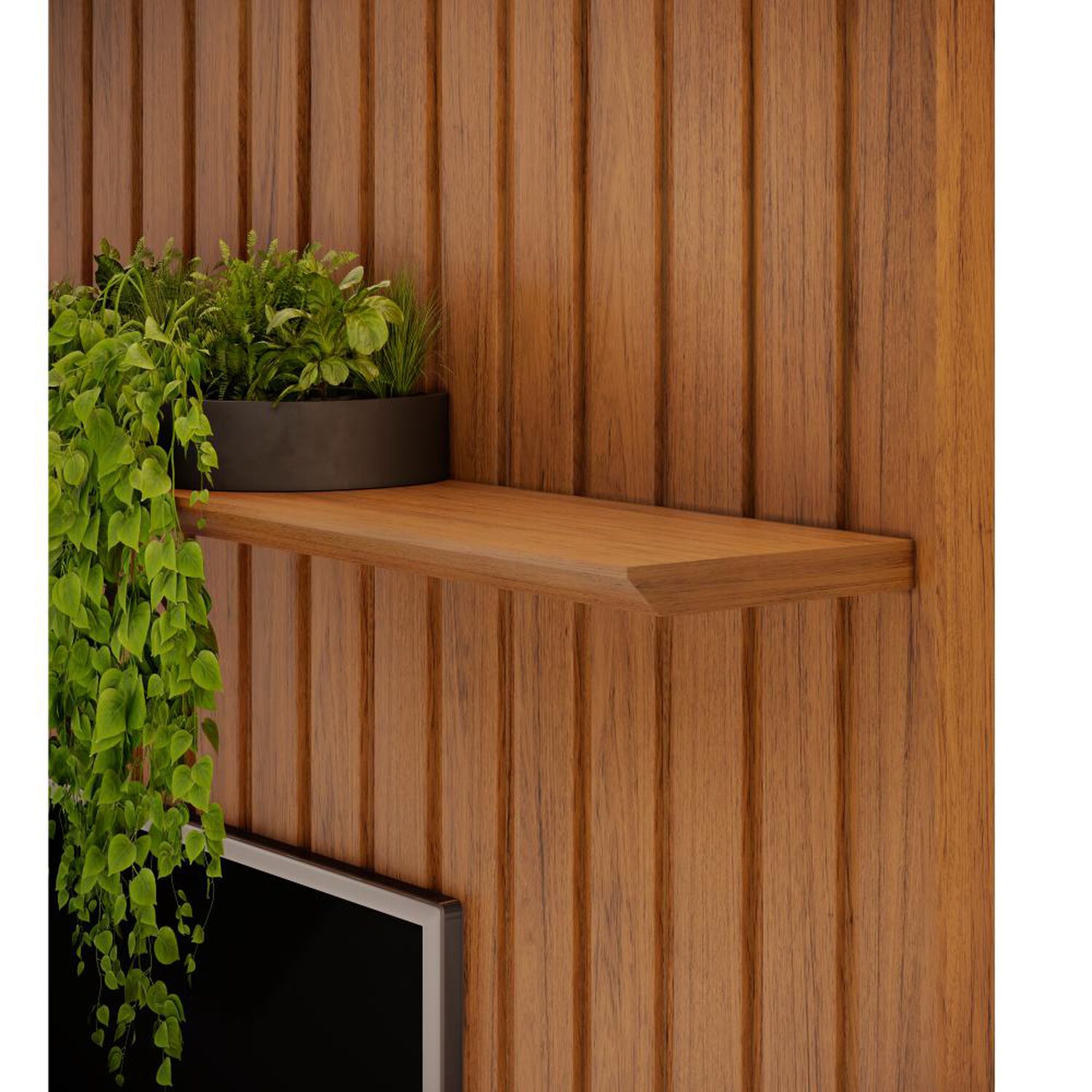 Panel Tv Altavision Pratic 183 / 0 / 2 image number 4.0