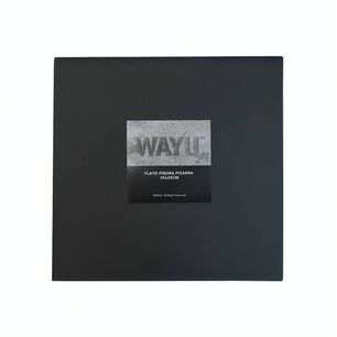 Plato Cuadrado Piedra Pizarra 25 Cm Wayu