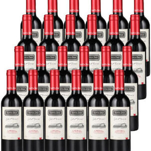 24 Vinos Santa Ema Select Terroir Cabernet Sauvignon