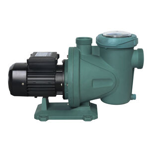 Electrobomba De Piscina 0,75 Hp Autocebante
