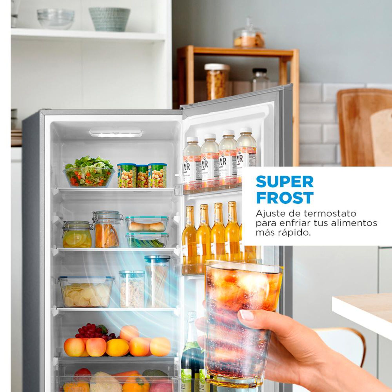 Refrigerador Bottom Freezer Midea MDRB369FGE50 / Fr&iacute;o Directo / 262 Litros / E image number 6.0