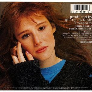 Tiffany - Could've Been | 7" Single Vinilo Usado