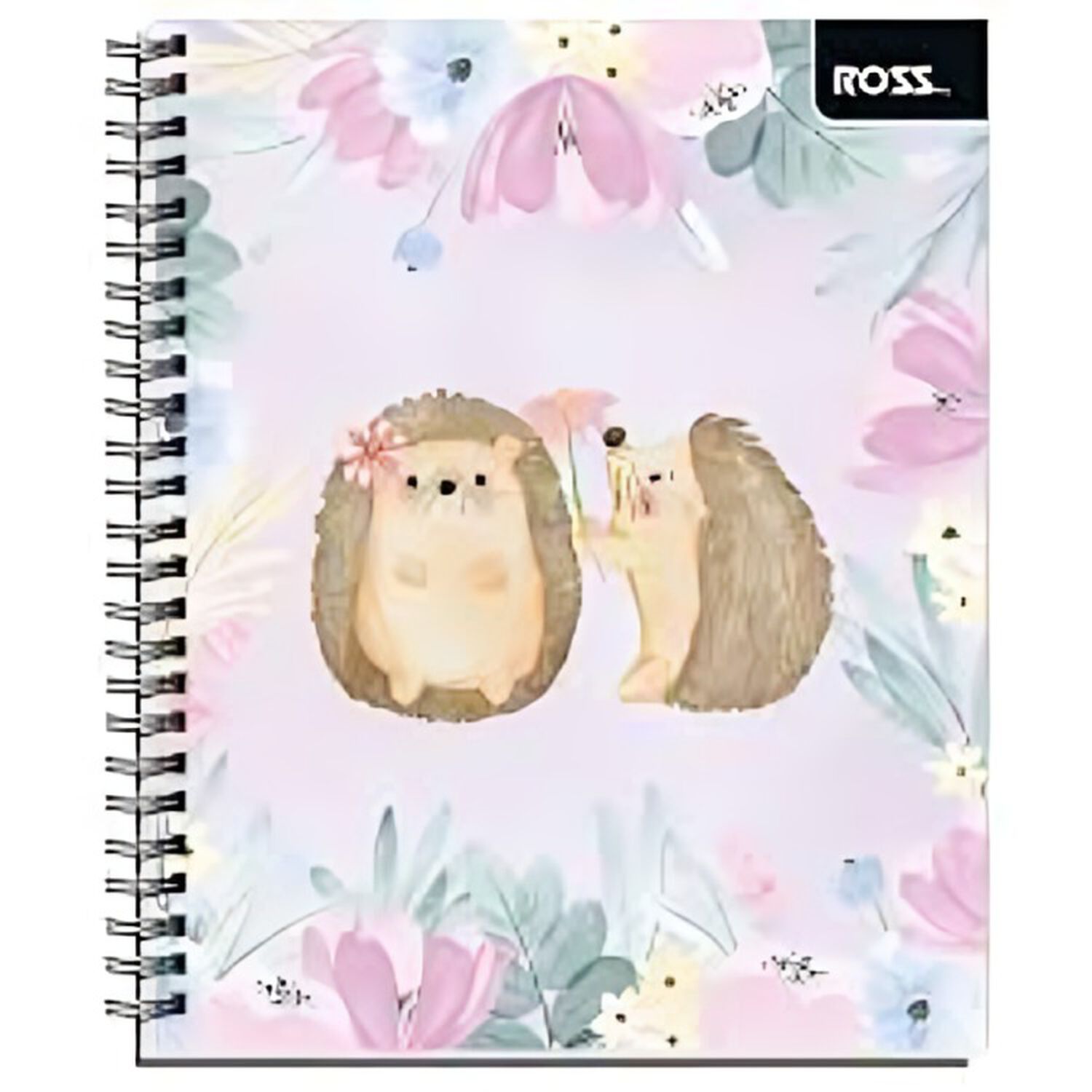 Pack 10pcs Cuadernos Univ Ross 100hojas image number 2.0