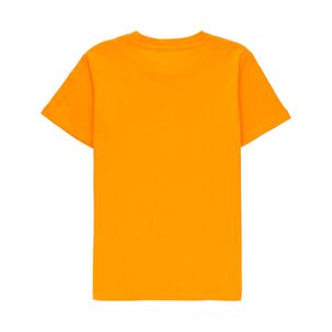 Polera Niño Topsis