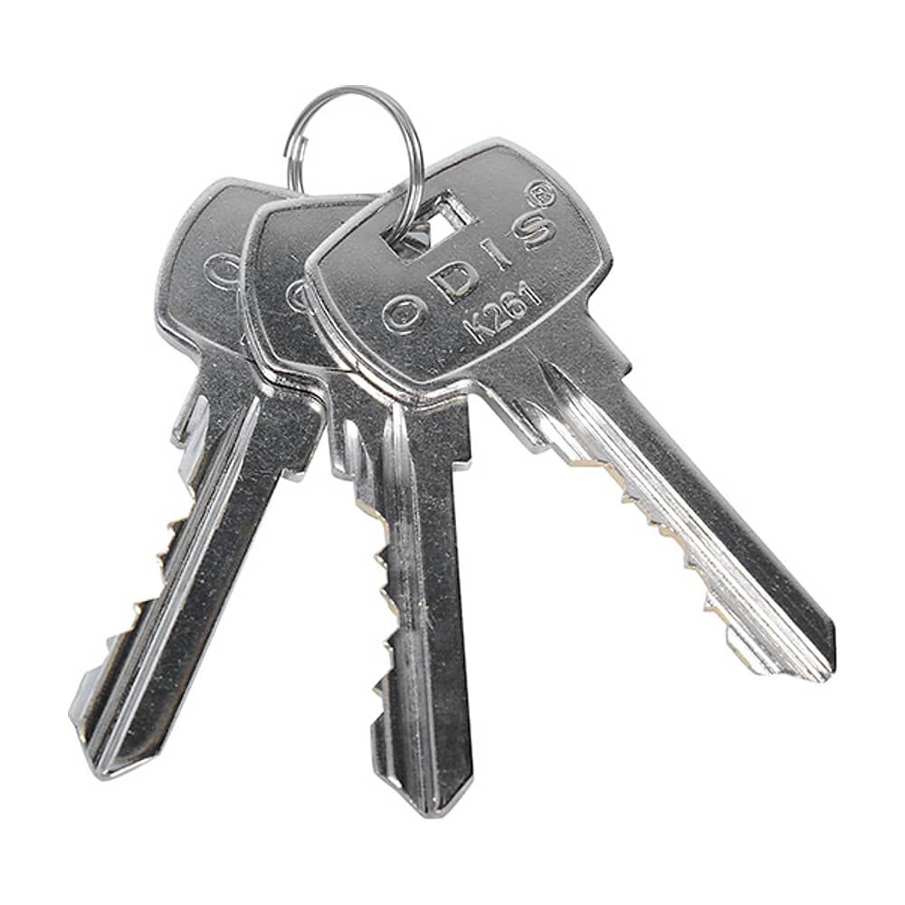 Cerradura Embutir Odis 205 Acceso - Plata image number 5.0