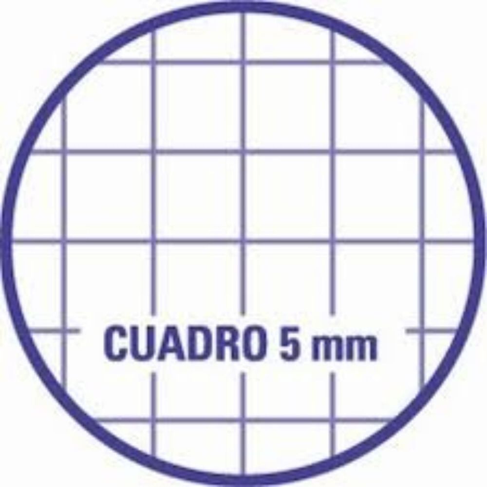 Pack X 4 Cuaderno College 100 Hojas 5 Mm / Amarillo Artel image number 1.0