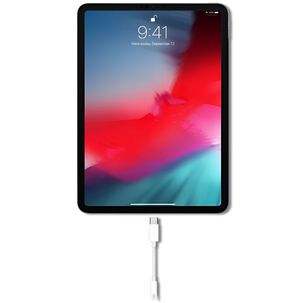 Adaptador Apple Usb-c A Jack 3.5mm Original