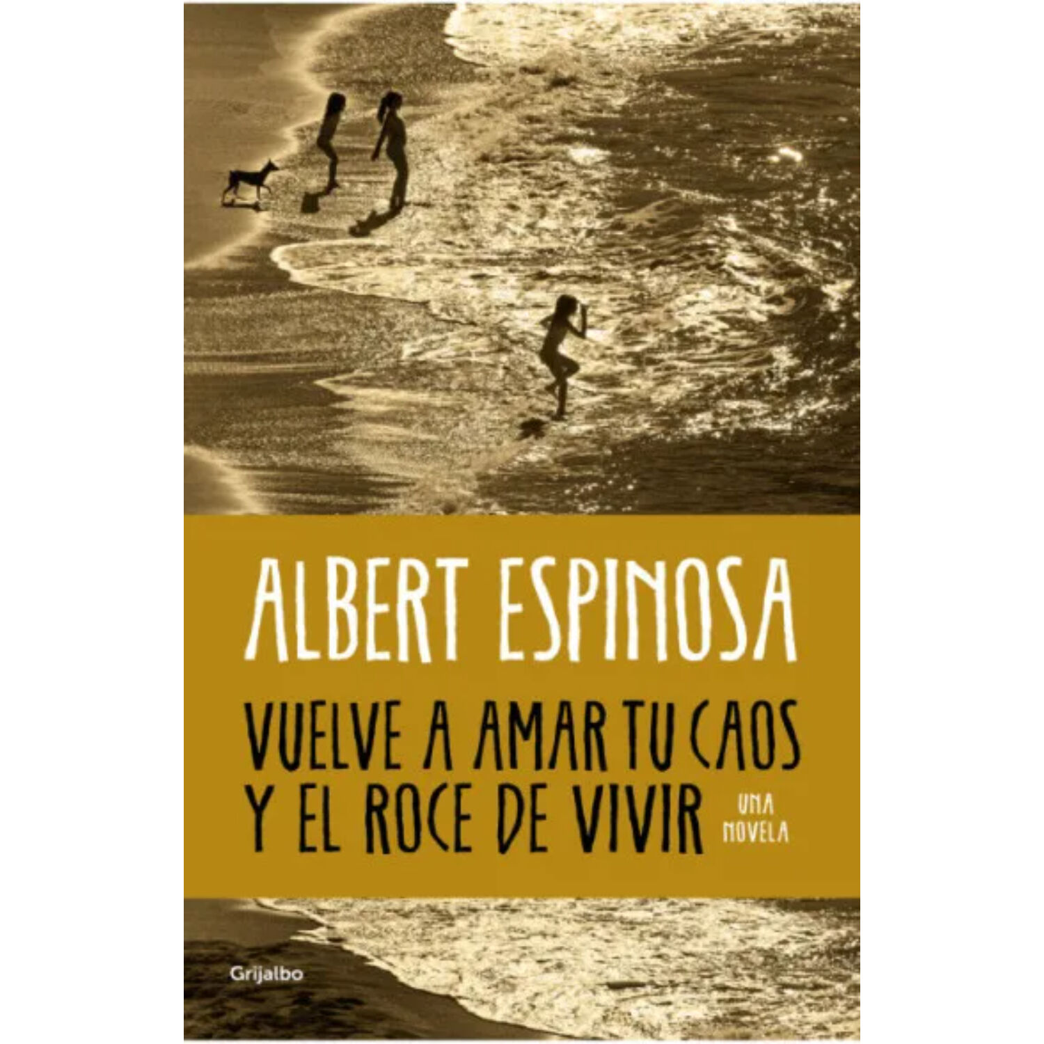 Vuelve A Amar Tu Caos Y El Roce De Vivir image number 0.0
