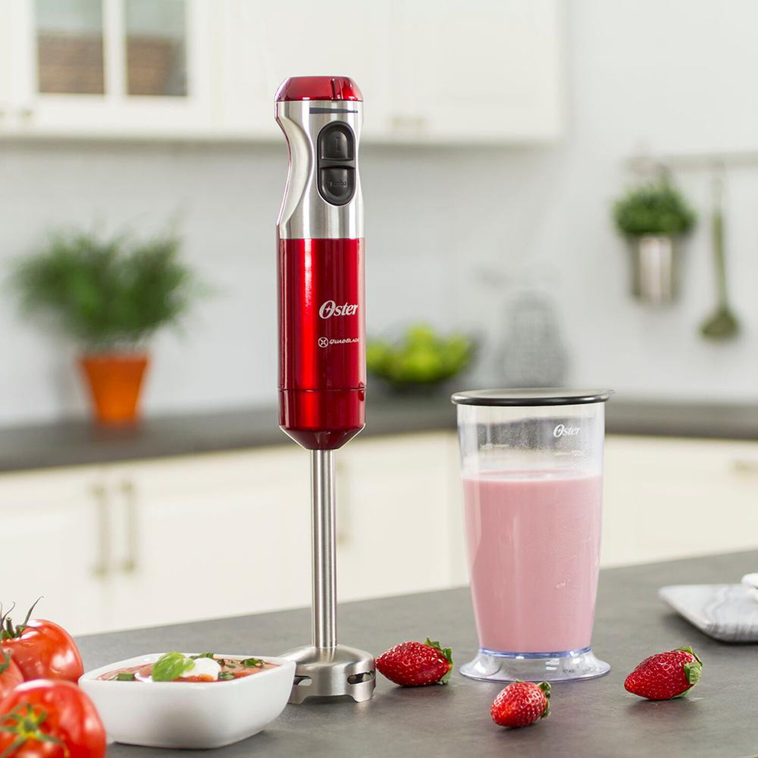 Minipimer Oster FPSTHB5102R052 / 600W image number 1.0